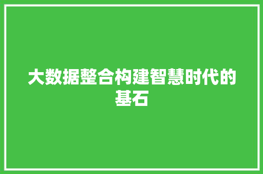 大数据整合构建智慧时代的基石 电脑基础