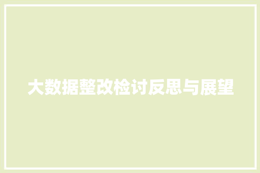 大数据整改检讨反思与展望 电脑配置
