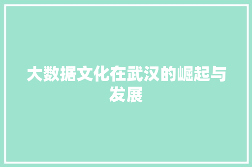 大数据文化在武汉的崛起与发展 大数据文化在武汉的崛起与发展