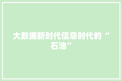大数据新时代信息时代的“石油”
