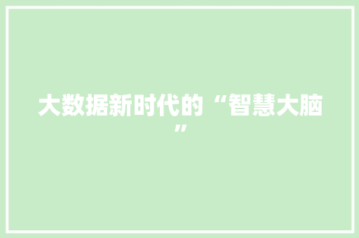 大数据新时代的“智慧大脑” 大数据新时代的“智慧大脑”
