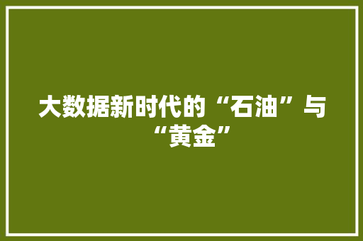大数据新时代的“石油”与“黄金” 大数据新时代的“石油”与“黄金”