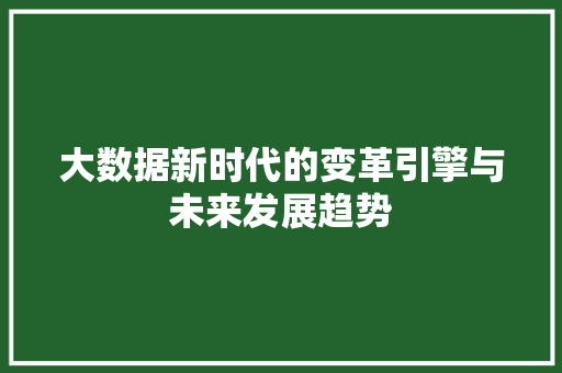 大数据新时代的变革引擎与未来发展趋势