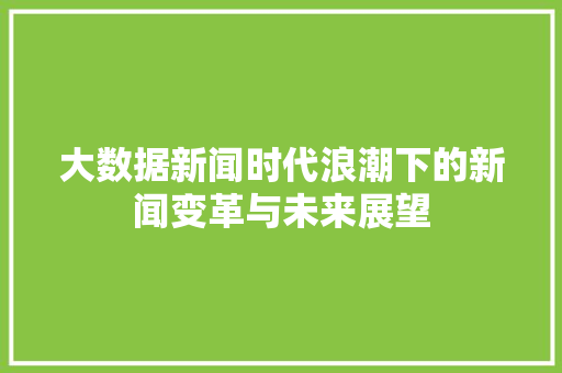 大数据新闻时代浪潮下的新闻变革与未来展望
