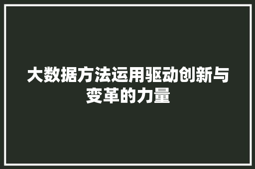 大数据方法运用驱动创新与变革的力量