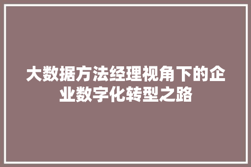 大数据方法经理视角下的企业数字化转型之路