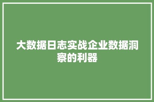 大数据日志实战企业数据洞察的利器 电脑故障维修