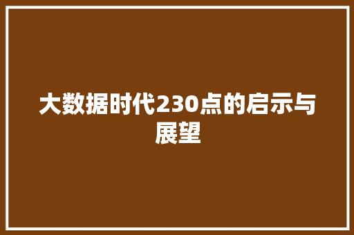 大数据时代230点的启示与展望 电脑故障维修