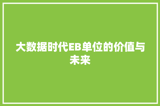 大数据时代EB单位的价值与未来 大数据时代EB单位的价值与未来