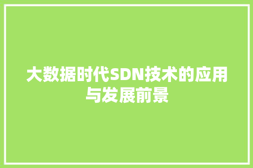 大数据时代SDN技术的应用与发展前景