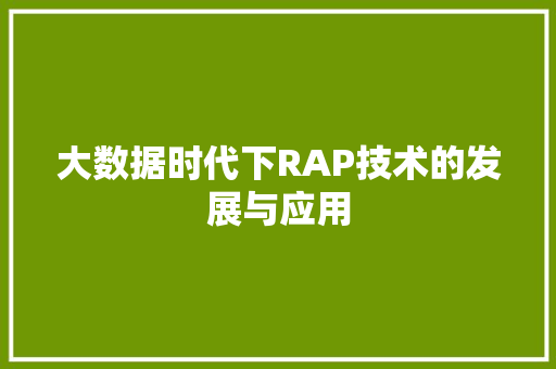 大数据时代下RAP技术的发展与应用