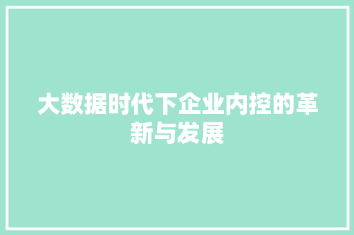 大数据时代下企业内控的革新与发展