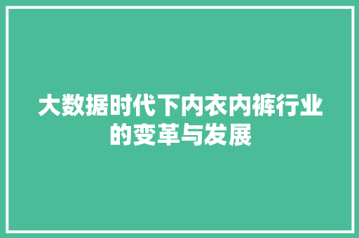 大数据时代下内衣内裤行业的变革与发展