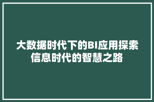 大数据时代下的BI应用探索信息时代的智慧之路 网络技术