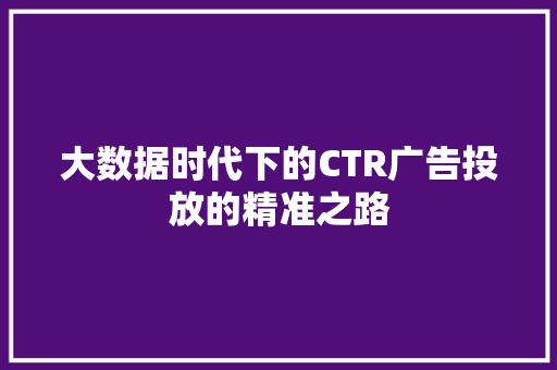 大数据时代下的CTR广告投放的精准之路