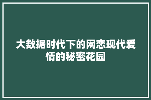 大数据时代下的网恋现代爱情的秘密花园