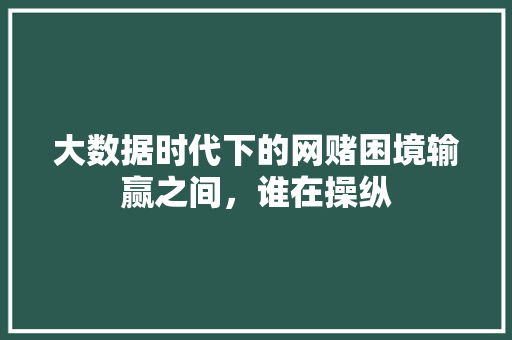 大数据时代下的网赌困境输赢之间，谁在操纵 编程语言