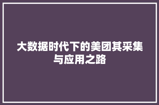 大数据时代下的美团其采集与应用之路 编程语言 大数据时代下的美团其采集与应用之路 编程语言