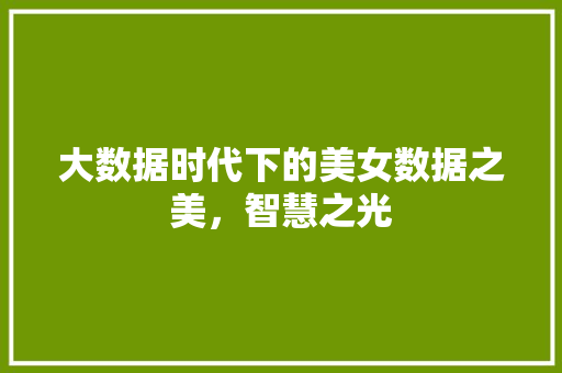 大数据时代下的美女数据之美，智慧之光