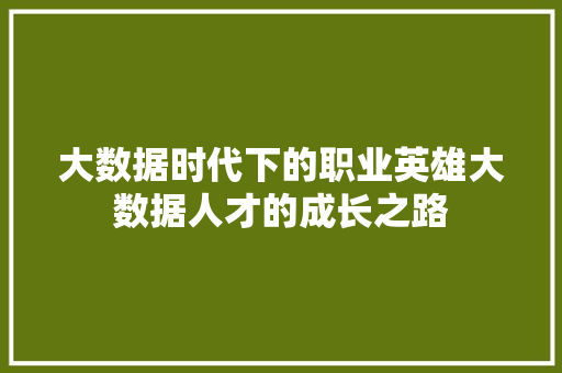 大数据时代下的职业英雄大数据人才的成长之路 网络技术