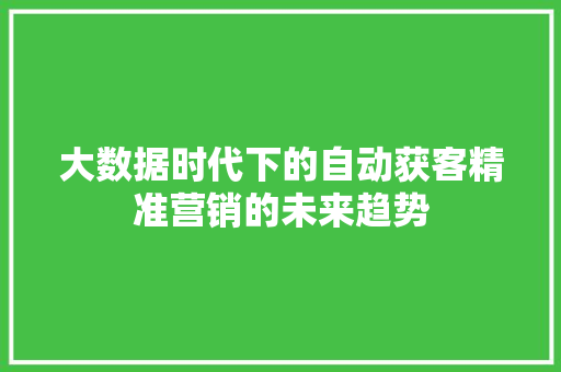 大数据时代下的自动获客精准营销的未来趋势 电脑故障维修