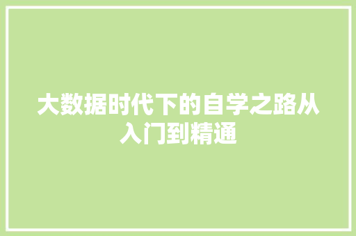 大数据时代下的自学之路从入门到精通 编程语言