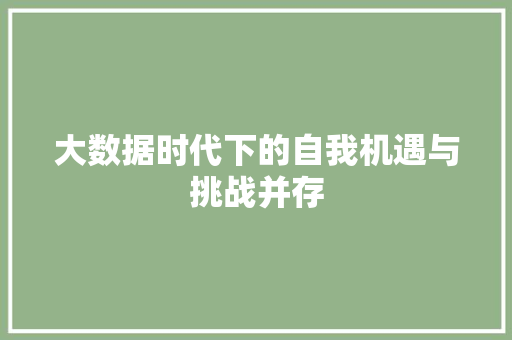 大数据时代下的自我机遇与挑战并存 电脑配置