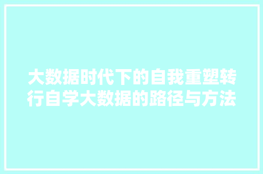 大数据时代下的自我重塑转行自学大数据的路径与方法 电脑故障维修