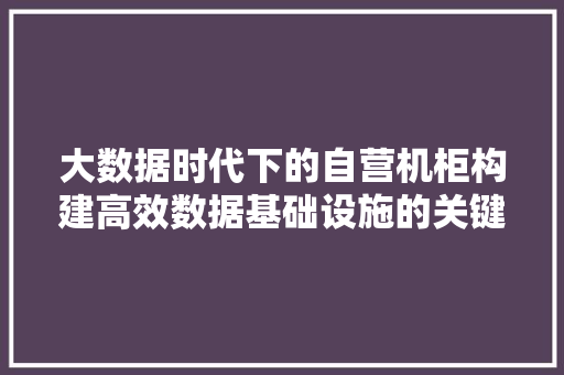 大数据时代下的自营机柜构建高效数据基础设施的关键 电脑故障维修