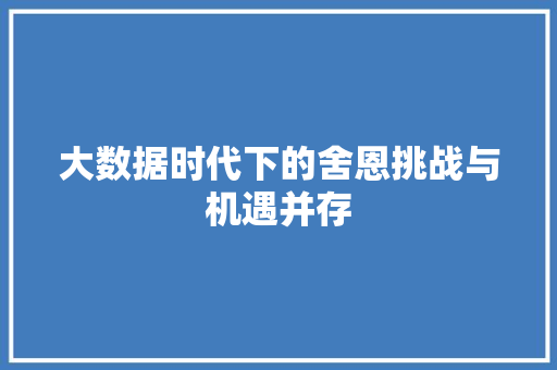 大数据时代下的舍恩挑战与机遇并存 操作系统