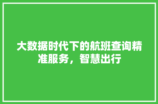 大数据时代下的航班查询精准服务，智慧出行 电脑故障维修
