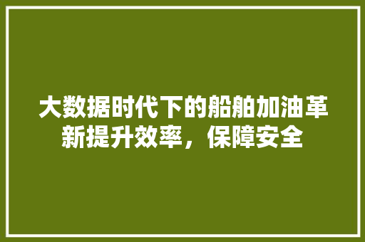 大数据时代下的船舶加油革新提升效率，保障安全 电脑配置