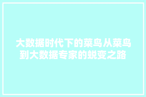 大数据时代下的菜鸟从菜鸟到大数据专家的蜕变之路 电脑配置