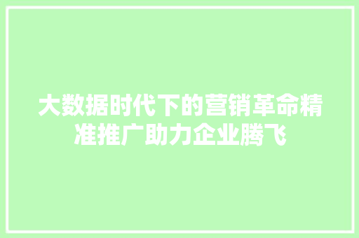 大数据时代下的营销革命精准推广助力企业腾飞 编程语言
