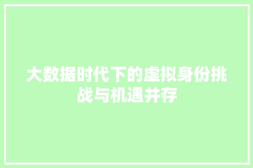 大数据时代下的虚拟身份挑战与机遇并存 编程语言