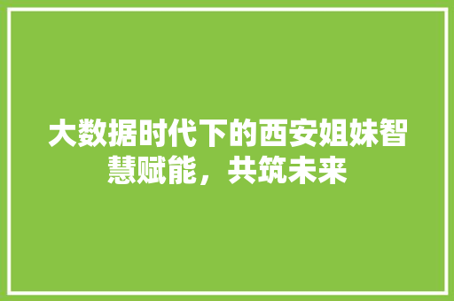 大数据时代下的西安姐妹智慧赋能，共筑未来 电脑基础
