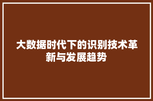 大数据时代下的识别技术革新与发展趋势 电脑故障维修