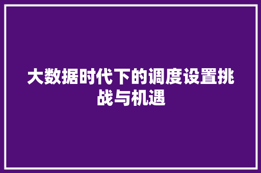 大数据时代下的调度设置挑战与机遇 网络技术