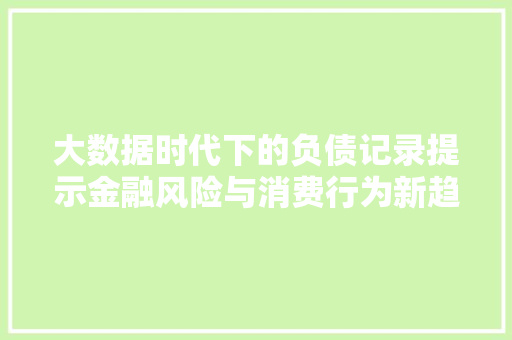 大数据时代下的负债记录提示金融风险与消费行为新趋势 编程语言