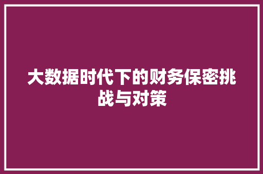 大数据时代下的财务保密挑战与对策 电脑配置