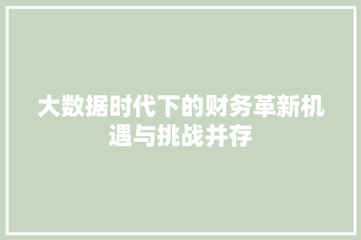 大数据时代下的财务革新机遇与挑战并存