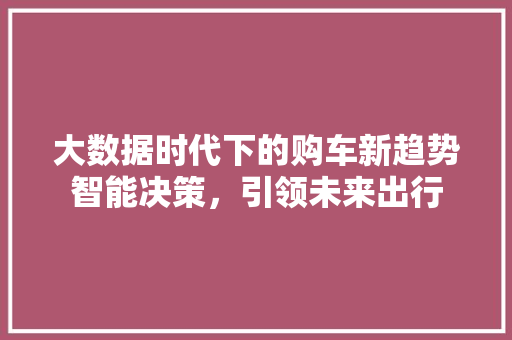 大数据时代下的购车新趋势智能决策，引领未来出行