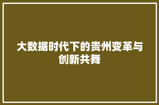 大数据时代下的贵州变革与创新共舞 操作系统