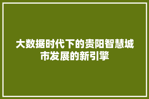 大数据时代下的贵阳智慧城市发展的新引擎 操作系统
