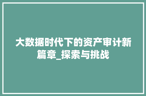 大数据时代下的资产审计新篇章_探索与挑战