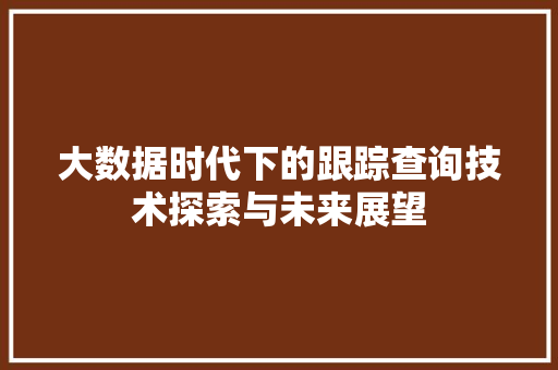 大数据时代下的跟踪查询技术探索与未来展望