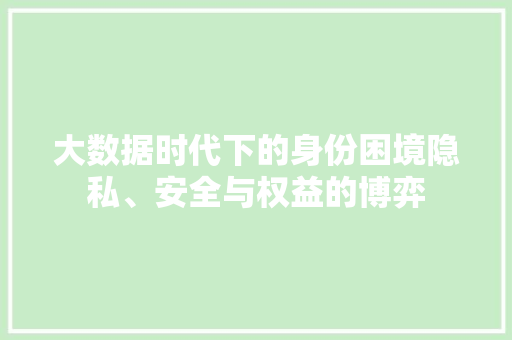 大数据时代下的身份困境隐私、安全与权益的博弈