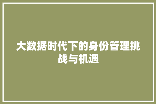 大数据时代下的身份管理挑战与机遇