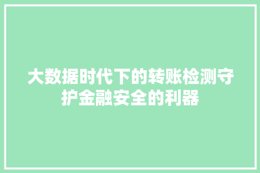 大数据时代下的转账检测守护金融安全的利器