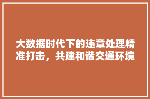 大数据时代下的违章处理精准打击，共建和谐交通环境